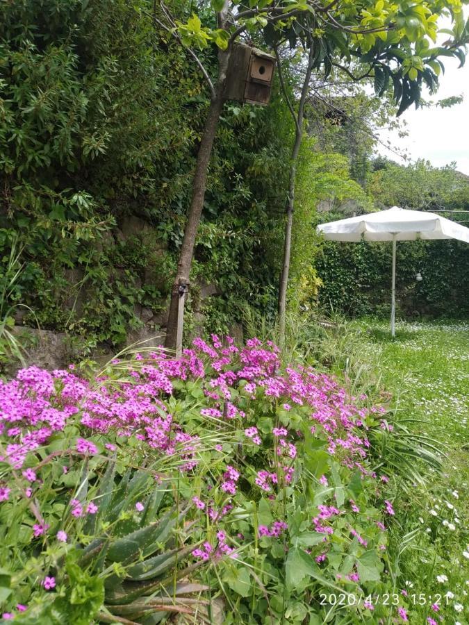 Apartamentos & Casa Rural Boada Con Jardin Interior Y Barbacoa Villamiel Dış mekan fotoğraf
